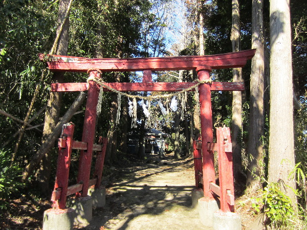 厳島神社（桔梗弁天）①